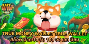 true money wallet true wallet สล็อต ฝาก 10 รับ 100 วอ เลท นิยม